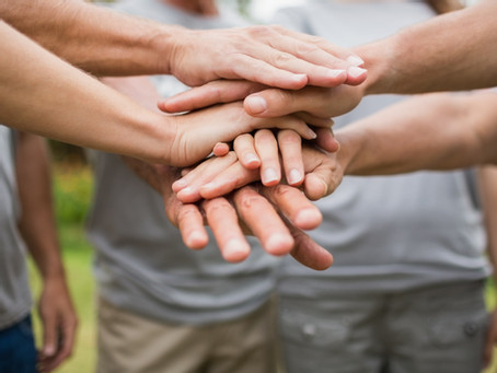 Announcing our volunteer programs for 2025